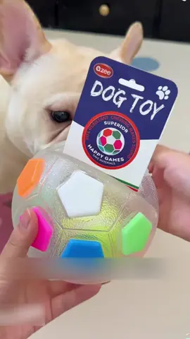 Grab-and-Play Dog Handle Soccer | Transparent with Colorful Pops, Ready for Instant Fetch Fun on Walks#goodthing #fyp #dogtoy #ball 
