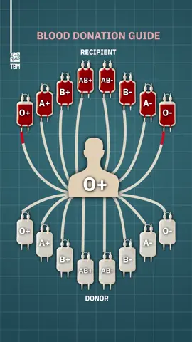 #الشعب_التمريضي_ماله_حل😂😂 