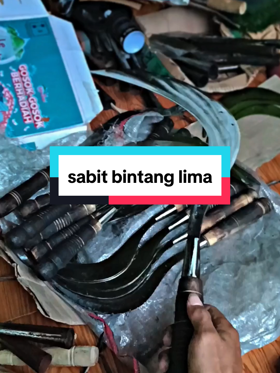 sabit bintang lima rekomendasi buat pengaritan #ngarit #sabit #alatberkebun #lagipromo 