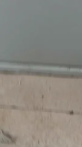 #recomendation #tiktok #fyp #rec 