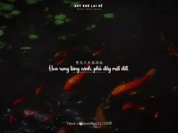 风止夜寒思未歇，一梦归途旧人安。 Gió ngừng, đêm lạnh, lòng còn vương, trong mộng ta về, chúc người bình yên. .                                  _                                                                 _  #nhactrungquoc #quykhulaihe #归去来兮 #vietsub #thanhmai02112005 