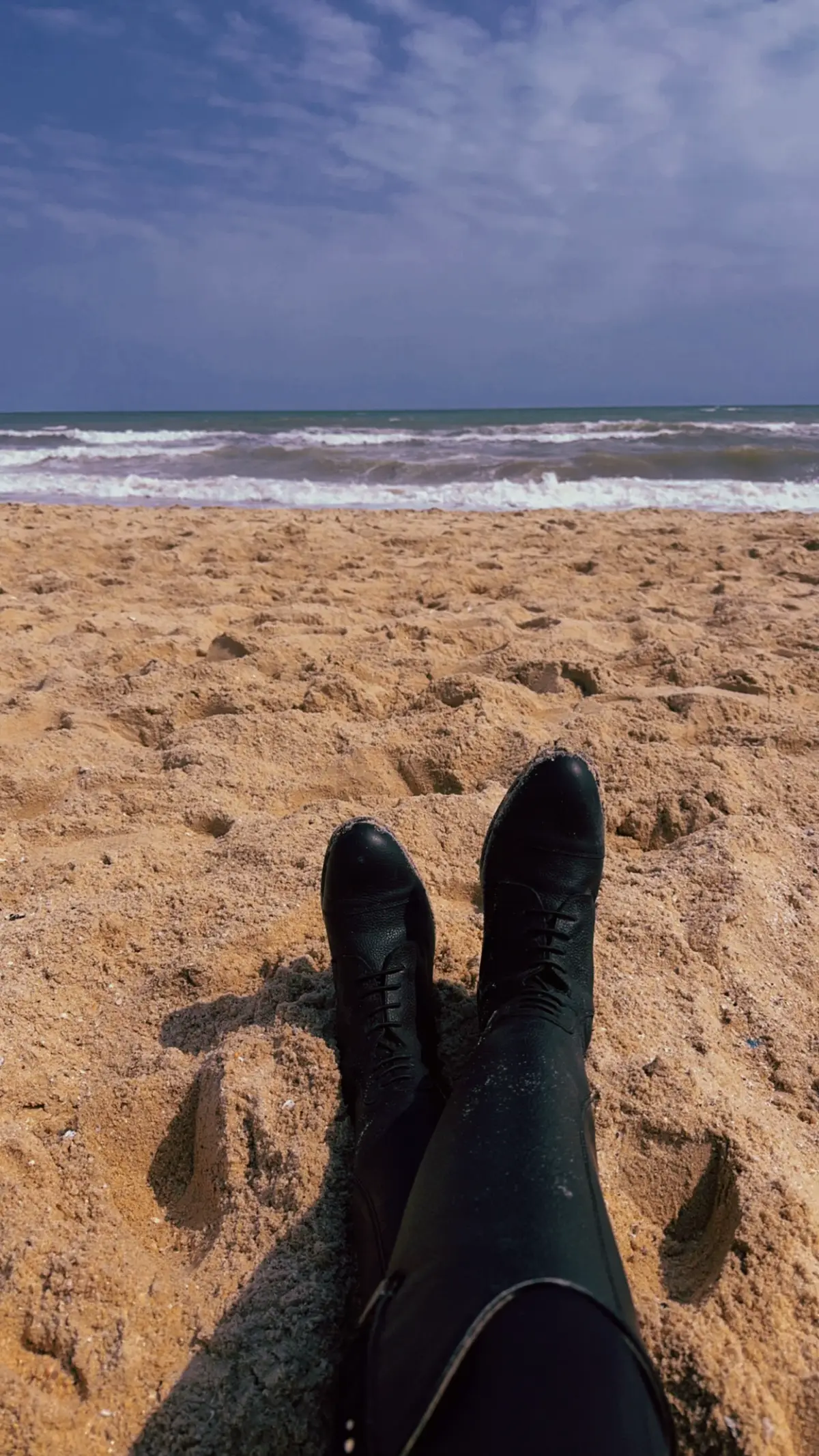 #fyp #foryoupage #horse 🫀