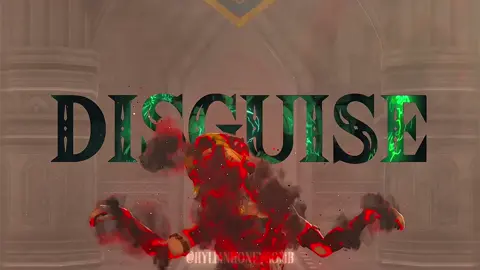 Zelda hawk em down Hyrule 🙌 #zelda #tearsofthekingdom #linkedit #edit #zelink 