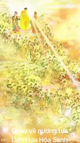 #xuhuongtiktok #phậtphápnhiệmmầu #blocktiktok     Nam mô Liên Trì Hải Hội Phật Bồ Tát.