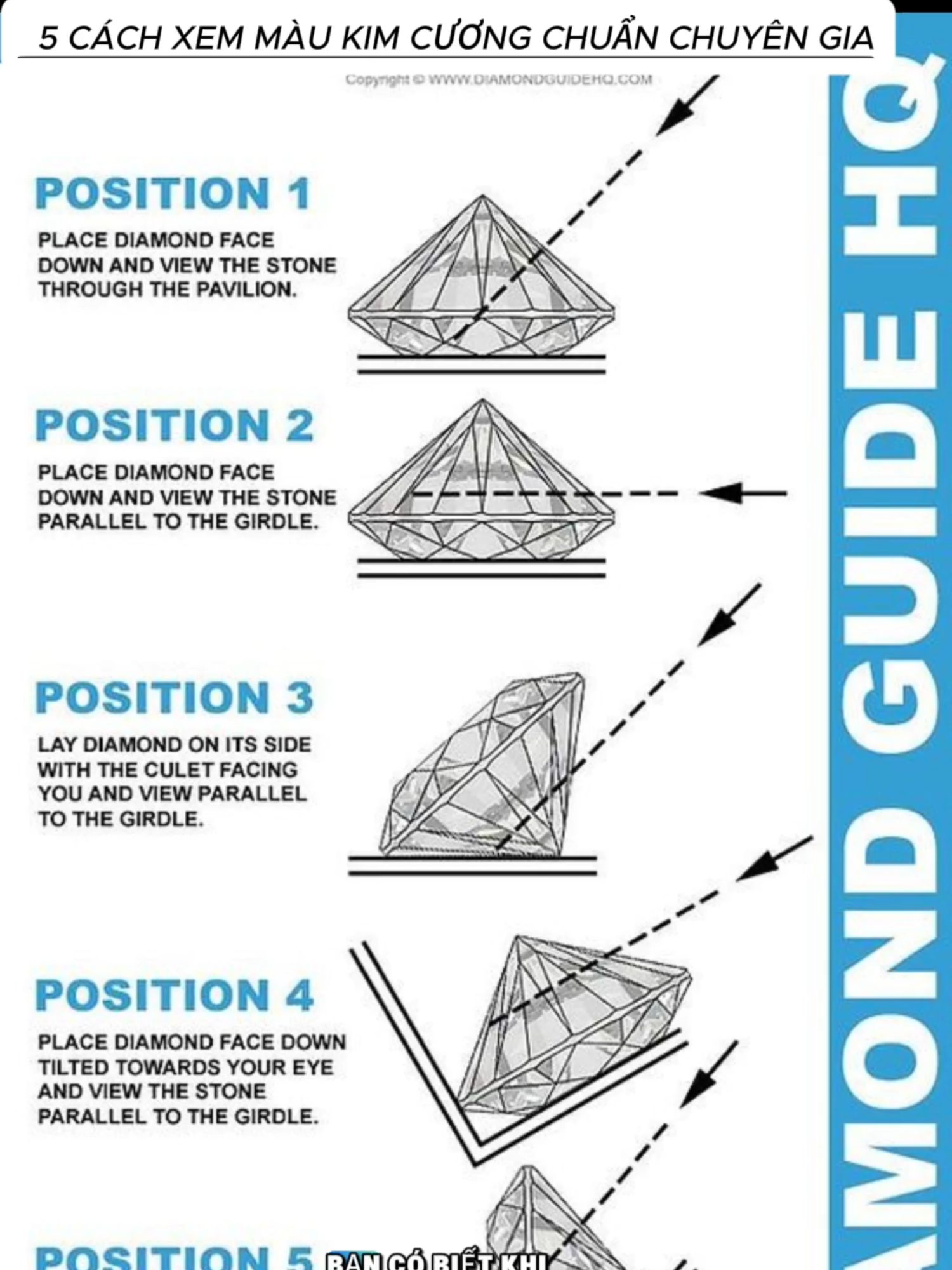 5 CÁCH XEM MÀU KIM CƯƠNG CHUẨN CHUYÊN GIA #kimcuonggiare #nhankimcuong #kimcuongthiennhien #kienthuckimcuong #foryou #viral #GIA #4c