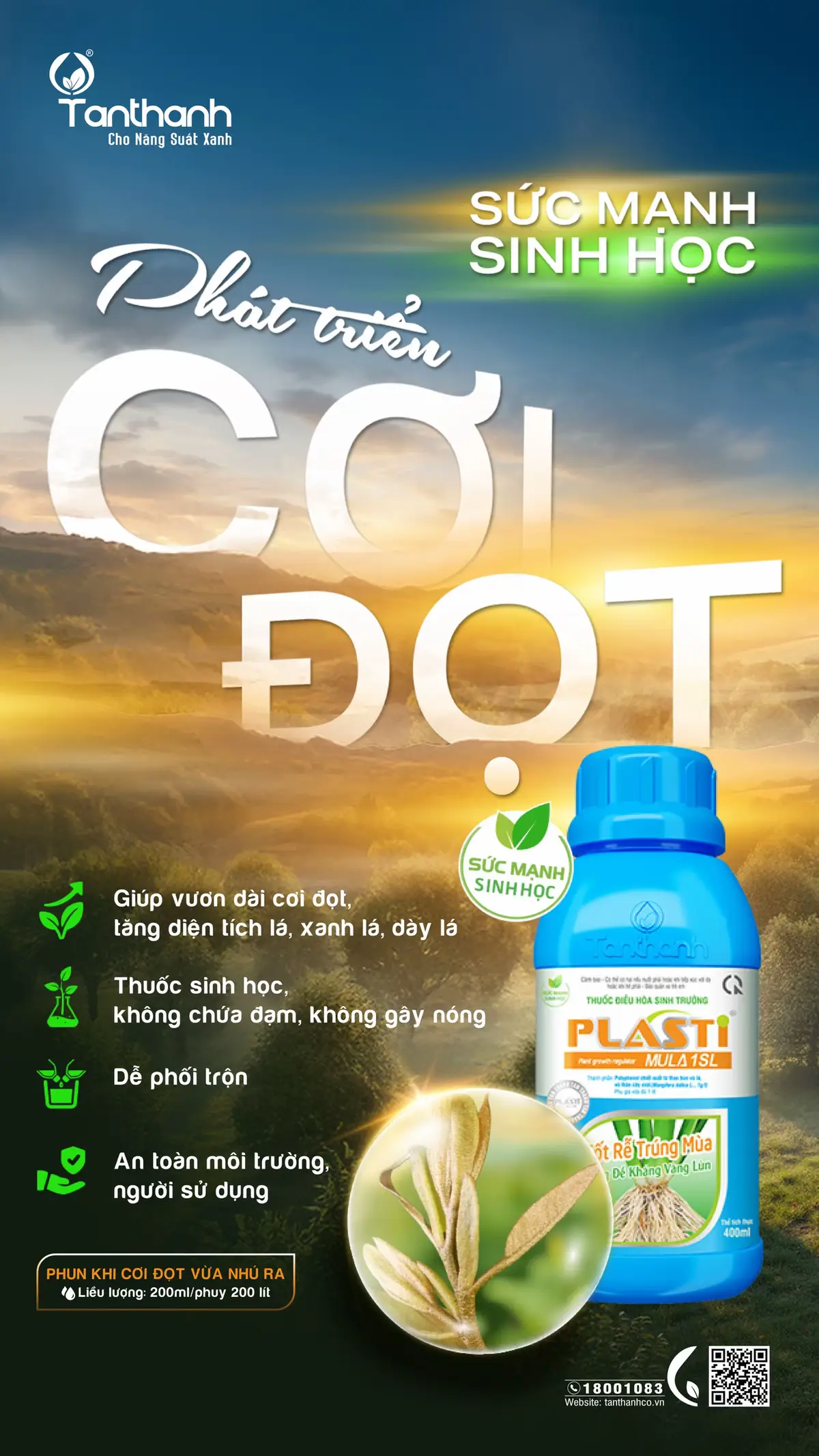 Plastimula 1SL giúp điều hòa sinh trưởng tự nhiên, giúp bung đọt khỏe, lá dày – bóng – xanh đều 🌱 #tanthanhco #saurieng #lamvuon #nongnghiep #xuhuong