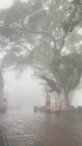 ndue kenangan opo ng tempat iki?#magetan24jam #sarangan #telagasarangan #fyppppppppppppppppppppppp 