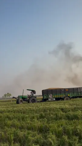 #shook_jutt_da_🚩🚩viral☝️🔥🤟💫🦅💥🦅 #pindanwaly_star #agricultura🚜🌱 #foryoupage❤️❤️ 