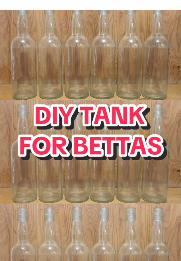 Replying to @louise_vm hindi ko pala binili ito #fyp #foryou #foryourpage #betta #bettafish 