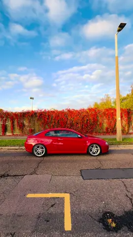 🍂 #alfaromeo #gtcoupe #bertonecoupe 
