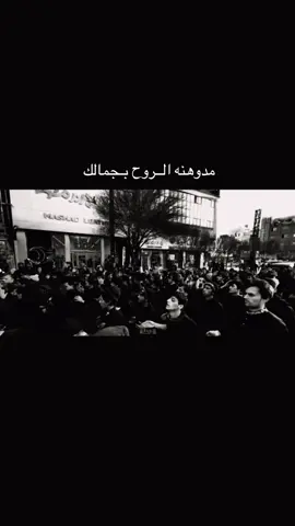 ابو وارث 💔 #سيد_فاقد #الذاكر_احمد_علي #يااباعبدالله_الحسين #يافاطمه_الزهراء #ياعلي_ابن_موسى_الرضا 