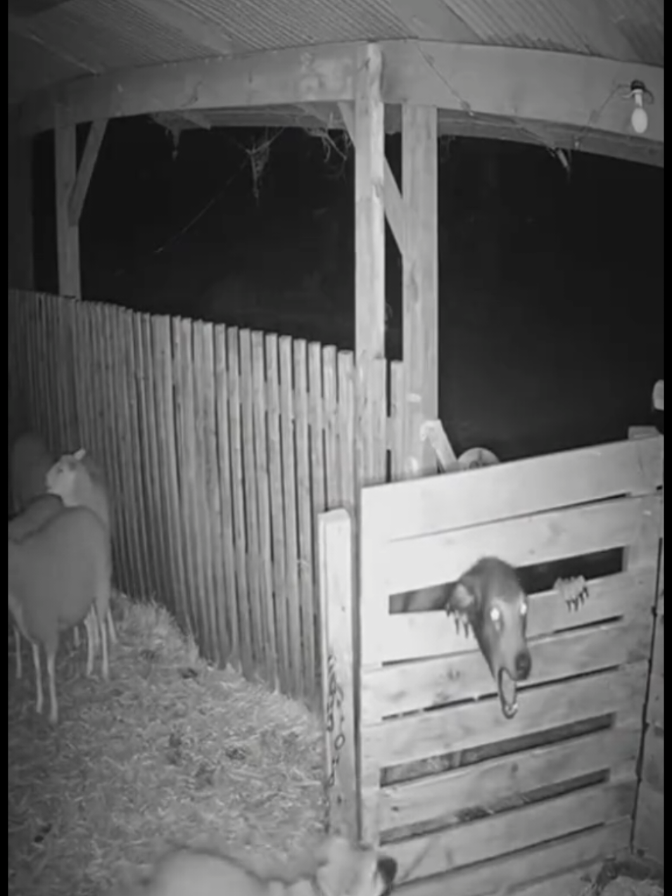 #foryou #viral #fyp #🕋🕋🤲🤲🕌🕌🌴🌴 