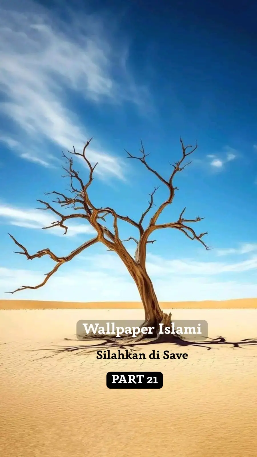 Silahkan di Save ✨ #wallpaper #islami #fyppppppppppppppppppppppp #beranda #tiktokviral 