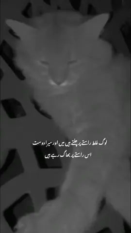 😭🔪😹 #viewsproblem😭 #fyppppppppp #tiktokunfreezemyaccoun #unfreezemyaccoun #shiekzay 