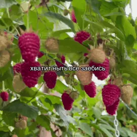 сегодня на «философском» и мотивационном, патаму шта каникулы #всезаебись #хватитныть #мотивация #recommendations 