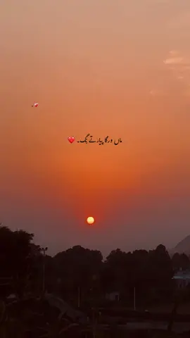 ماں تو ماں ہوتی ہے،اگر زندگی میں ماں نہ ہو۔۔ تو زندگی بے رونق ہو جاتی ہے بلکہ ماں تو زندگی ہوتی ہے اسکے بغیر ہم سانس تو لے رہے ہوتے ہے لیکن شاہد جی نہیں رہے ہوتے🍃❤️‍🩹 @𝙈𝘼-♛ #foryou #foryoupage #poetry #poetrystatus #unfreezmyaccout 