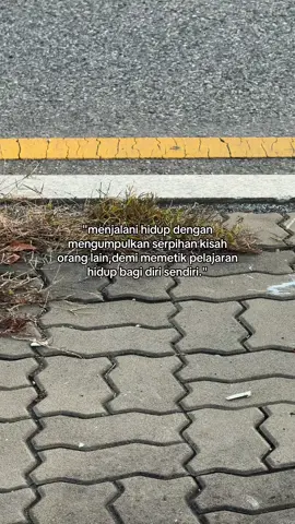 belajar dari pengalaman orang lain