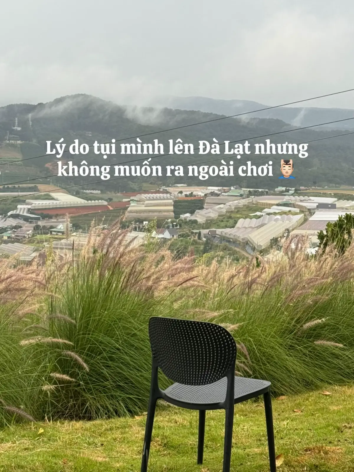 một chuyến đi vội vàng #dalat #homestaydalat #fypシ 