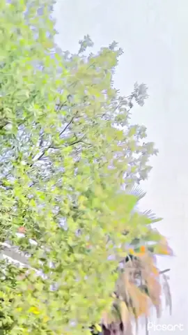 #CapCut Trending😮‍💨 #creatorsearchinsights #viralvideo #unfreezemyacount #1millionaudition 