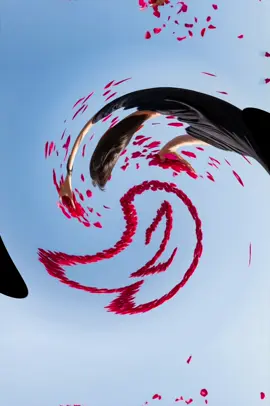 Z Name #mehrbanali #z #name #meaning #islamic_queen866 