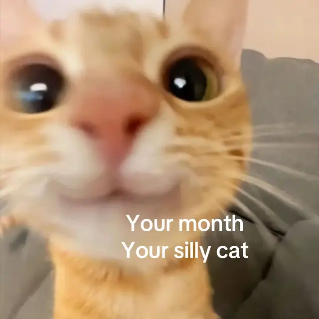 #yourmonthyour #yourmonth #cat #sillycat #fyp 