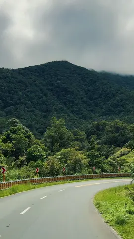 Sierra Madre mountain range ⛰️🏔️🌳🦌🌲🌴🌳 #sierramadremountainrange  #MarilaqueHighway #Marilaque #Rides #InfantaQuezon 
