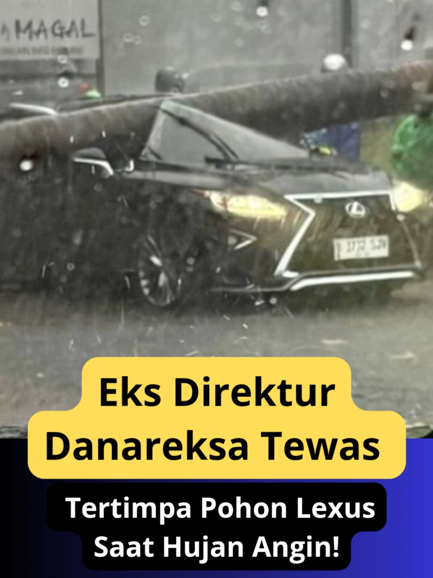 Eks Direktur Danareksa Tewas Tertimpa Pohon Lexus Saat Hujan Angin! - Hujan deras disertai angin kencang pada Minggu (26/10/2025) menyebabkan pohon palem berdiameter 60 cm dan tinggi 15 meter tumbang di Jalan Metro Pondok Indah Raya, Jakarta Selatan, menimpa mobil Lexus yang dikendarai Harry MP Danardojo (50), mantan Direktur PT Danareksa (Persero). Korban tewas di lokasi sekitar pukul 13.59 WIB, dan jenazahnya dibawa ke RS Pondok Indah. Insiden ini juga menimbulkan kemacetan karena batang pohon menutup jalan utama. Gubernur DKI Jakarta Pramono Anung, yang mengenal korban secara pribadi, menyampaikan belasungkawa dan memerintahkan evaluasi terhadap sekitar 5.000 pohon di Jakarta untuk mencegah kejadian serupa. Di saat bersamaan, atap lapangan padel di Meruya, Jakarta Barat, turut ambruk akibat terpaan angin, menegaskan tingginya risiko cuaca ekstrem di ibu kota.