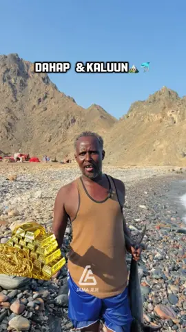Rer sanaag Dahap iyo kaluun bay Isku haystan #Gold 