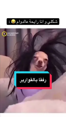 رفقا بالسترونغ انديبندنت قارورة 🤣 #documentary_aldaheka #nationalgeographic #alaaghannam #voiceover 