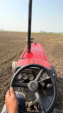 #Eman7 ☠️⚜️💪🏻❤️‍🔥#fyp #100kviews #viralvideo #unfrezzmyaccount 