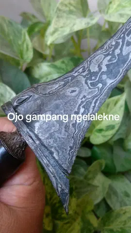 DAMAR MURUP SEPUH UTUH TERAWAT. TUBAN PAJAJARAN  Damar Murup  Ngulit Semangka  est. tangguh Tuban Pajajaran ( 923 M - 1579 M ) Sepuh Utuh dan Terawat. #damarmurup  #damarmurub #tilamupih #tosanaji 