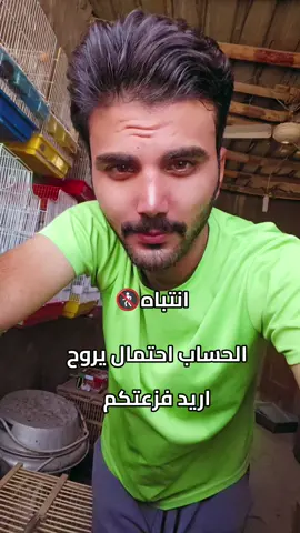 #بلابل_العراقيه #بلابل_العراق_الحبيب #بلبل #بلبل_عراقي_ابيض_الخدين #بلابل 