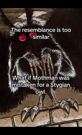 I figured this out while researching what the animal out my window was and I saw a Stygian ow which looked awfully close to Mothman and since Mothman is dark has red eyes has those antennas the resemblance was too close to say the weren’t the same maybe the couple that was driving down the road had the owl get so close that they mistook it for a large creature and owls are known to be silent flyers only fact tha doesn’t make sense is th fact it’s human shaped #mothman #conspirecytheories #theory #urbanlegend #pointpleasant  fun fact jersey mikes was also founded in point pleasant along with Mothman 