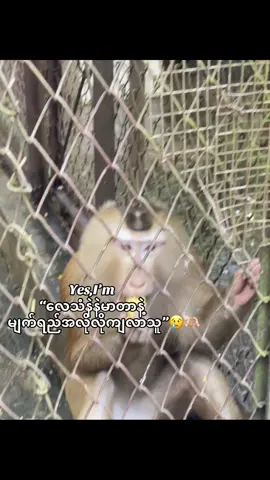 😢@John  #creatorsearchinsights #no40t😛 #trendingtiktok #2025tiktok #crdစာသား💖 