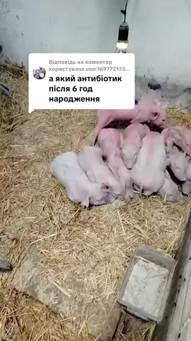 Відповідь користувачу @user1697721352761 