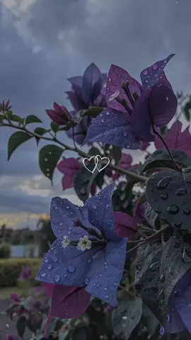 😔🖤#لايك_متابعه_اكسبلور 