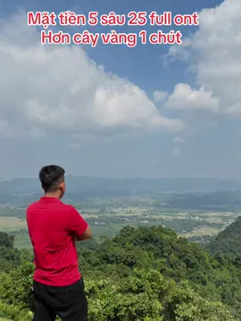 Hơb cây vàng . Có sổ hồng cất két #doithungquyhoa #nghiduong #nghiduongngoaithanh #bđshoabinh 