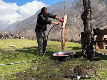 #I Caught A Huge Fish and Cooked It in a Big Tandoor! Fish Day in the Village 