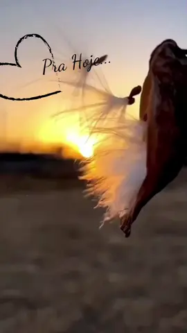 #tiktokmotivacional #statusdebomdia #statusdewhatsapp 