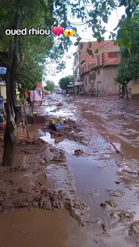 #oued_rhiou_وادي_رهيو 💔😱