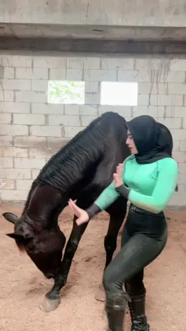 The power is magic🫣#dellaceblong #fyp #equestrian 