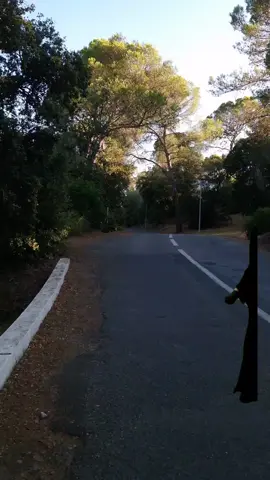 Qu'est-ce que j'ai fait? Mes circuits sont en surchauffe, c'est un complot intergalactique, je vous l'affirme ! Je voulais simplement profiter du paysage, une petite promenade automnale pour trouver l'inspiration pour mon déguisement et voilà que tout bascule. L'ambiance était pourtant si calme, les arbres commençaient à prendre leurs couleurs dorées, une vraie carte postale. Je préparais ma meilleure chorégraphie pour la soirée du 31 octobre, un truc qui allait mettre tout le monde d'accord. Je me voyais déjà comme le roi de la fête, distribuant des friandises et des sourires effrayants. L'idée était simple, la mise en scène parfaite. Personne ne se doutait de mon plan. Cette route de forêt, je la connais par cœur. Chaque virage, chaque pin qui borde le chemin, c'est mon terrain de jeu. D'habitude, je viens ici pour filmer des vlogs, vous montrer des coins magnifiques de notre beau pays. Mais aujourd'hui, le décor a pris une autre dimension. Le soleil qui perce à travers les branches donne une atmosphère étrange, presque mystique. On se croirait dans le prologue d'une histoire qui tourne mal. Mon costume est peut-être un peu trop réaliste, vous croyez ? Je sens des regards sur moi, alors qu'il n'y a personne. C'est juste le vent dans les feuilles, ou quelque chose de plus ? La paranoïa commence à s'installer, c'est mauvais signe. Mon téléphone affiche 