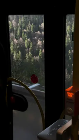 Winter hike season has almost started and I’m so ready for it 🤍🤍 #Hiking #schwarzwald #blackforest #solohike 