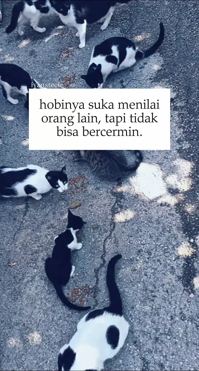 #fyp #iyanstecu #story 