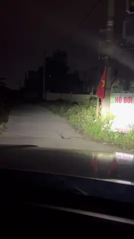 Đêm làm về đây là điềm báo gì các nhà phong thuỷ ơi..!