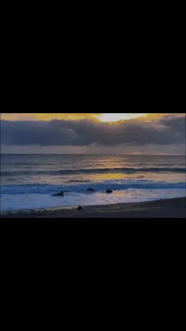 សៀវភៅនេះខ្ញុំលែងអានហើយ