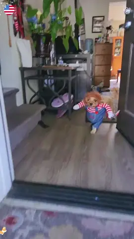 Halloween Pet Costumes #dogsofttiktok #doglover #halloween #dog #funnydog #funnydogs #cutedog #cuet #cutedogs #funnyvideos #funny #funnymoments #foryou #fyp #costume#usa 