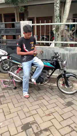 tetep shedulur masio kewan😭 #seduluransaklawase #pshtpusatmadiun #psht#ikspi_kerasakti1980 #pshtstory 