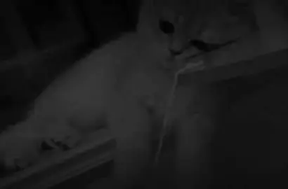 #fyp #foryou #foryoupage 