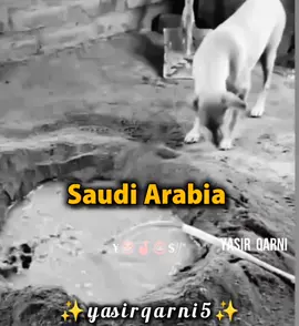Saudi Arabia 😝 Mention your Saudi Arabia Friend 😂 #fyp #tiktok #foryoupage❤️❤️ #unfreezemyacount #growmyaccount 